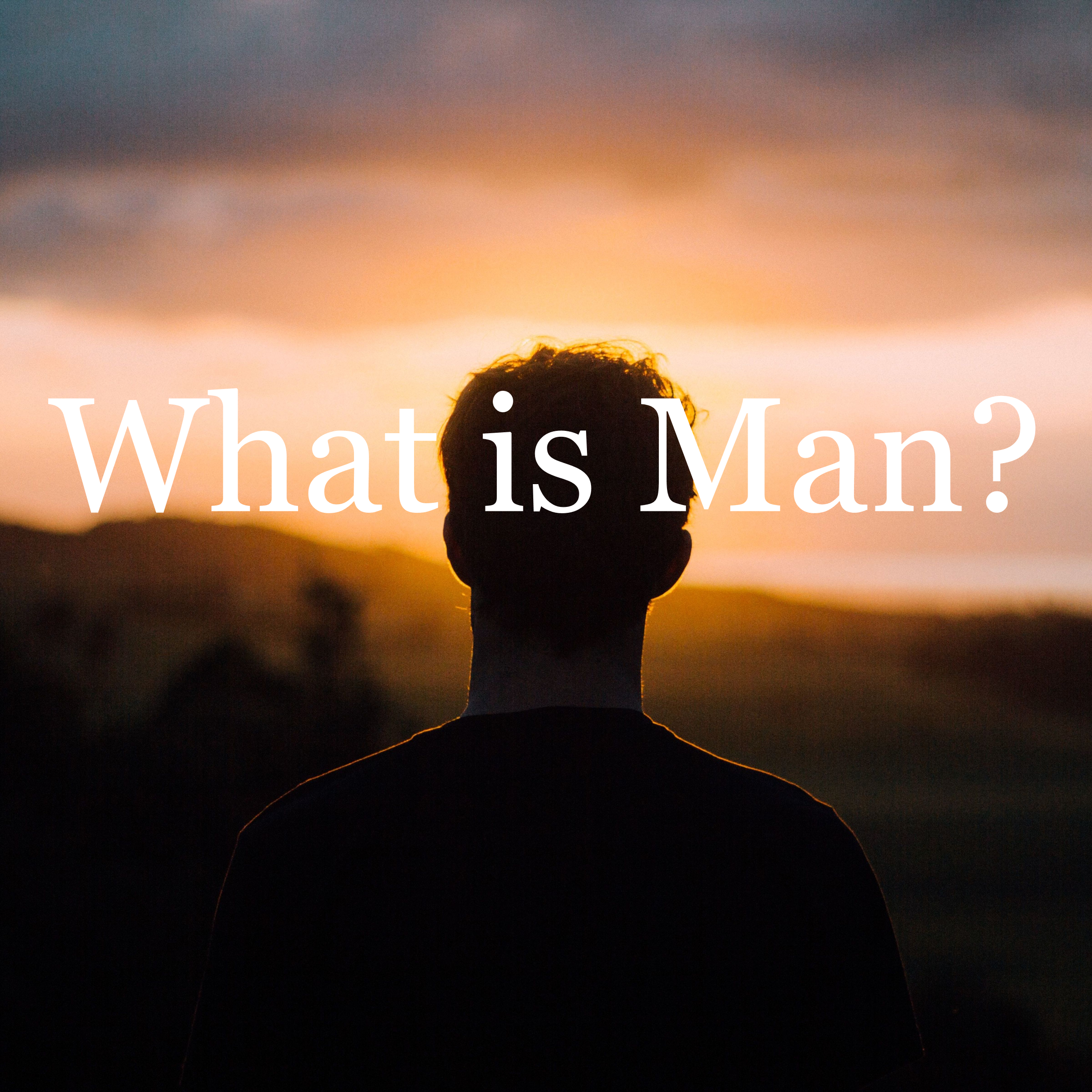 What Is Man? The Question David Asked Under the Stars