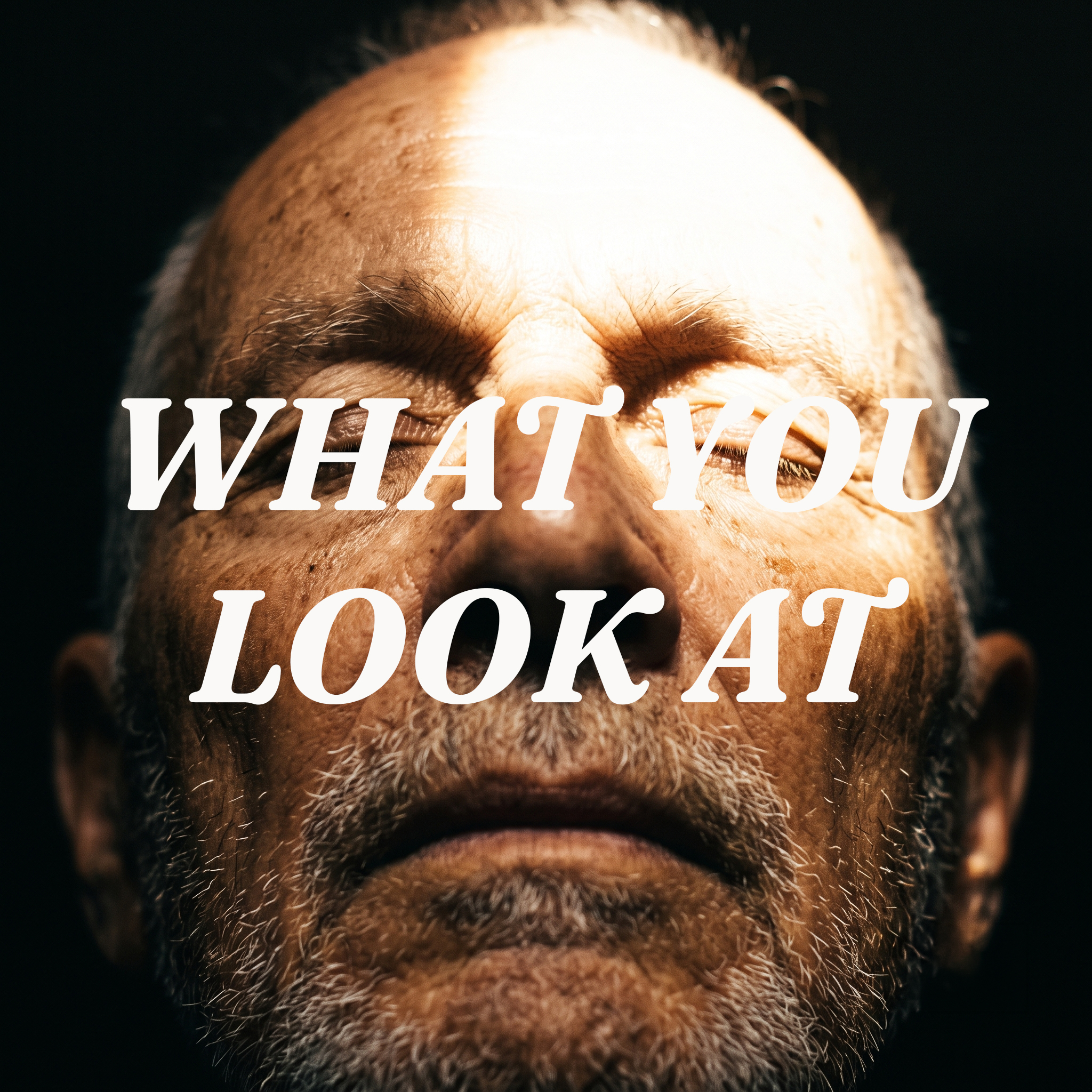 What You Look At: The Transfiguration and the Word Prosecho cover